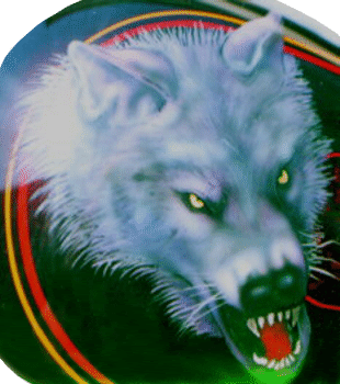 Wolf head close-up