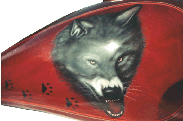 Wolf head close-up