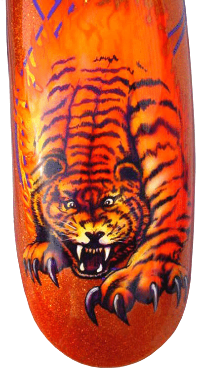 tiger on front fender